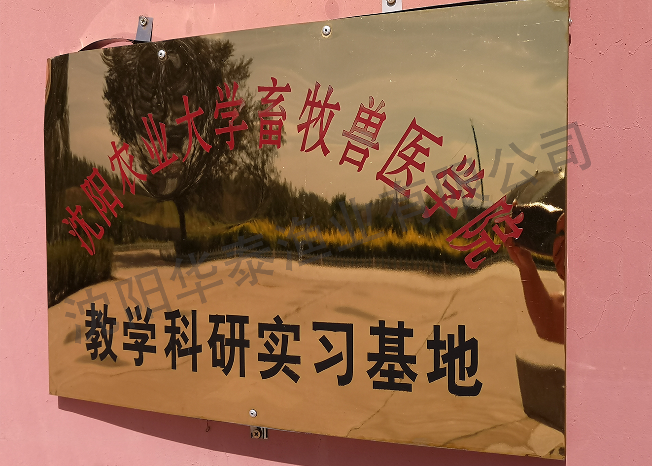 &#20248;&#20048;&#22253;